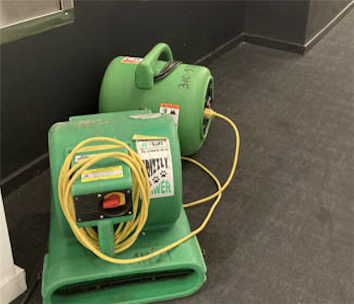 green drying equipment in a hallway