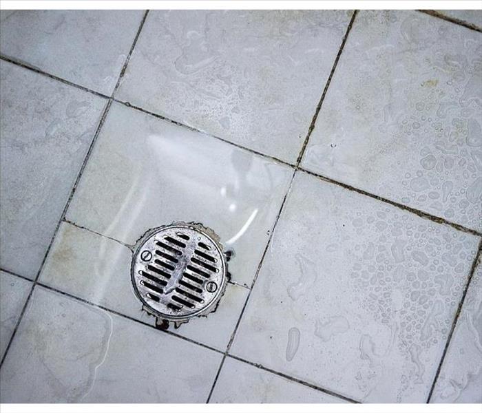 Round shower drain strainer made of stainless steel.