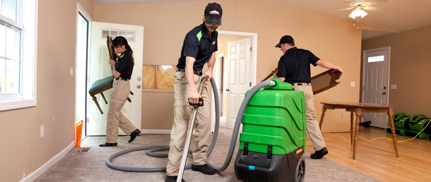 Fort Collins, CO cleaning services