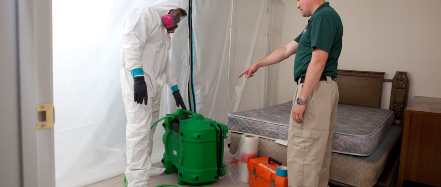 Fort Collins, CO mold removal process